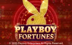 Play Playboy Fortunes™ on Starcasino.be online casino