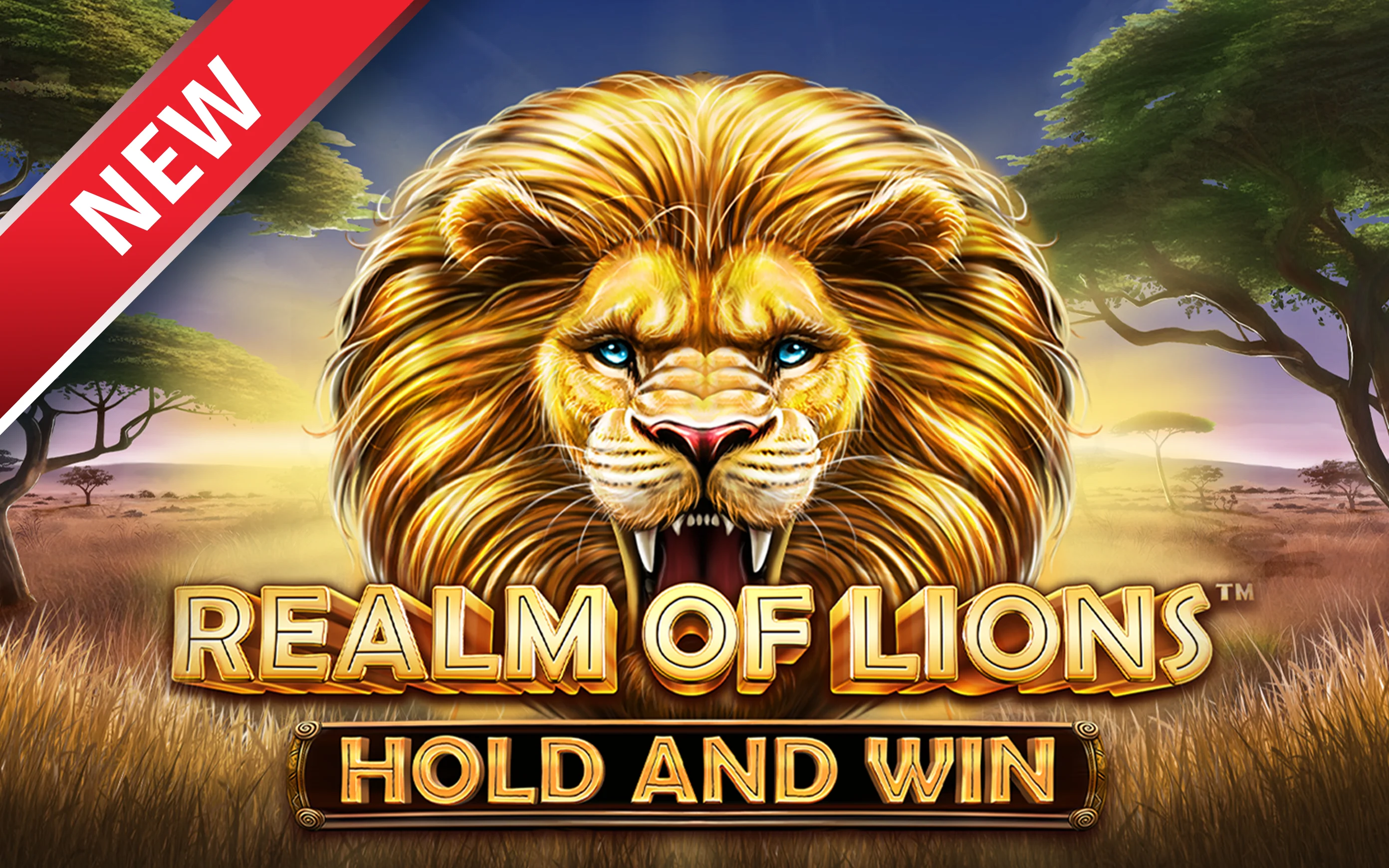 Παίξτε Realm of Lions στο online καζίνο Starcasino.be