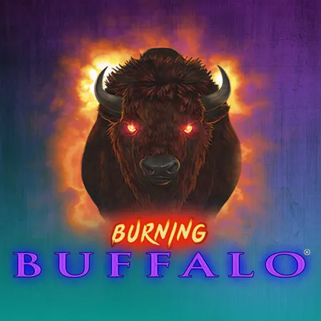 Burning Buffalo
