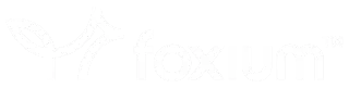 Play Foxium games on Starcasino.be