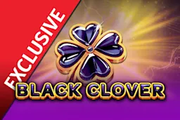 Immagine Esclusiva StarCasino