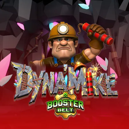 Dyna’Mike BoosterBelt