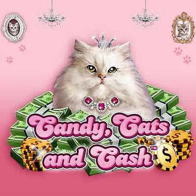 Candy, Cats & Cash
