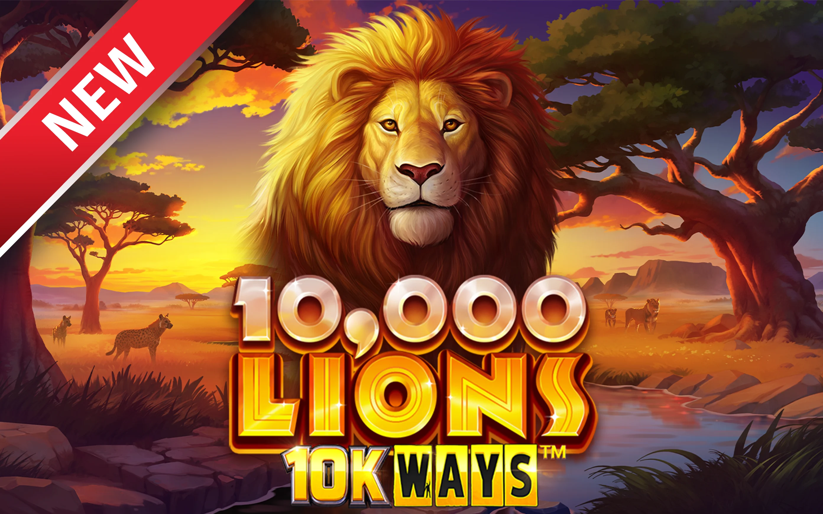 Gioca a 10,000 Lions 10K Ways sul casino online Starcasino.be