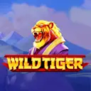 Jouer à Wild Tiger sur le casino en ligne Starcasino.nl