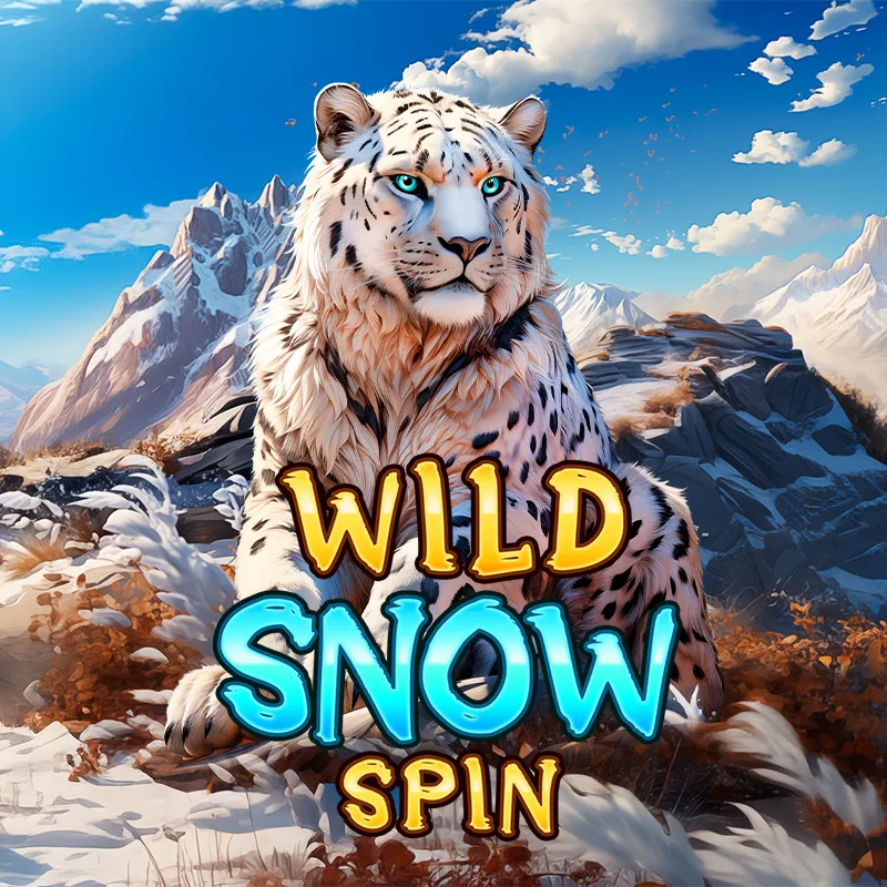 Wild Snow Spin