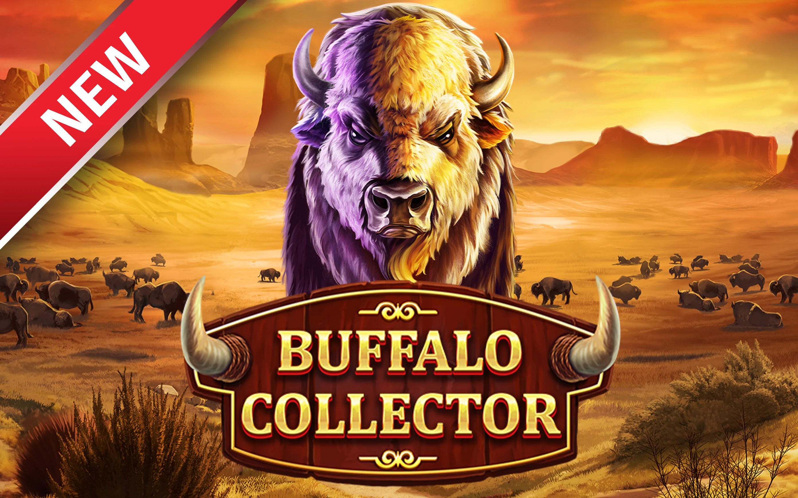 Play Buffalo Collector on Starcasino.be online casino