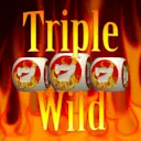 在Madisoncasino.be在线赌场上玩Triple Wild Seven Dice