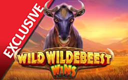 เล่น Wild Wildebeest Wins บนคาสิโนออนไลน์ Starcasino.be