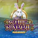 Jouer à White Rabbit sur le casino en ligne Starcasino.nl