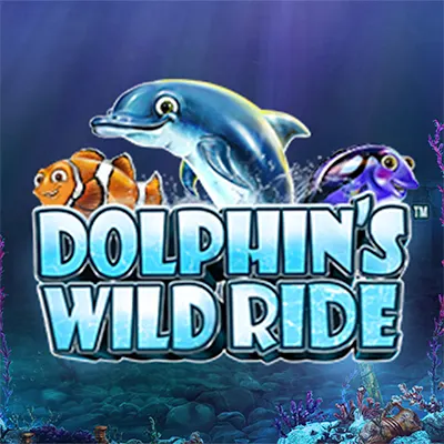 Dolphins Wild Ride