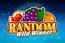 Jouer à Random Wild Winner sur le casino en ligne Starcasino.nl