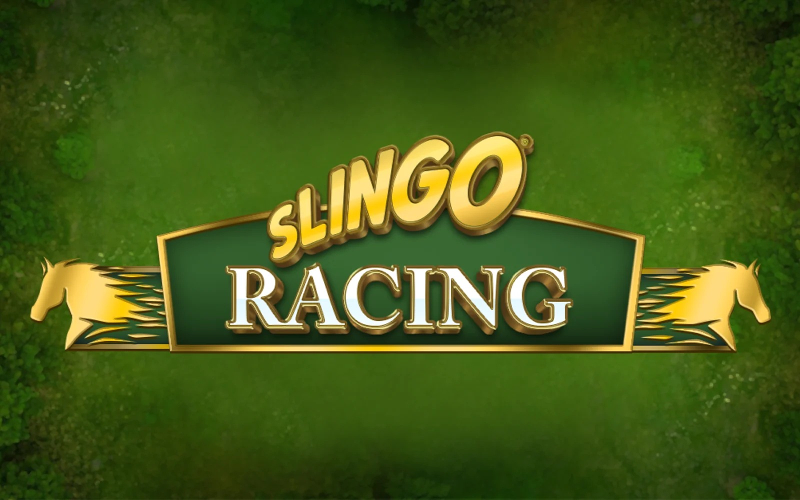 Zagraj w Slingo Racing w kasynie online Starcasino.be