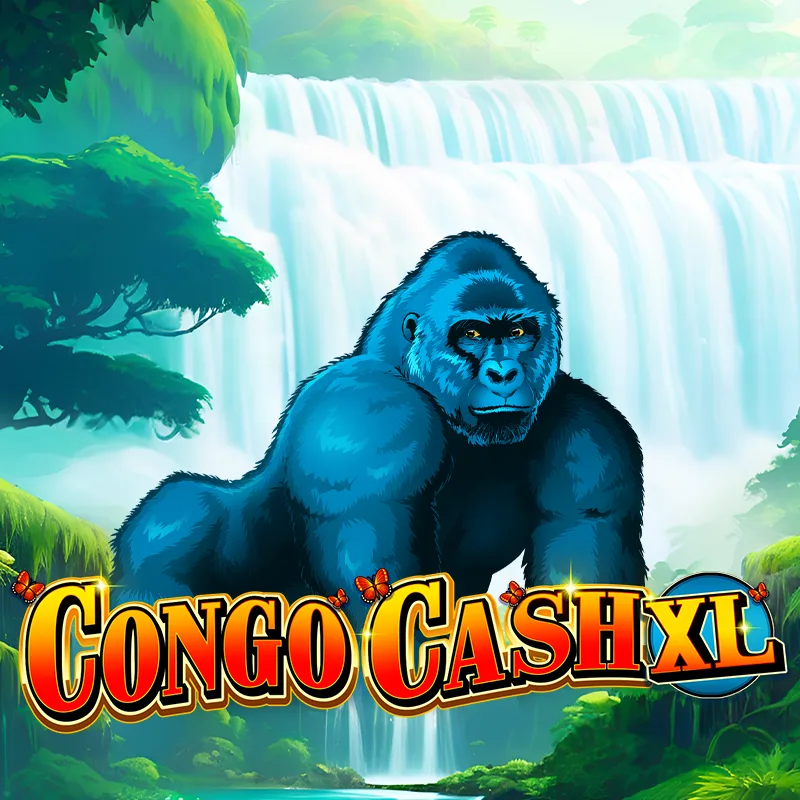 Congo Cash XL