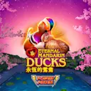 Jouer à Eternal Mandarin Ducks™ sur le casino en ligne Starcasino.nl