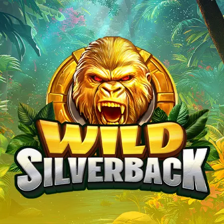 Wild Silverback
