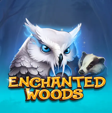 Enchanted Woods