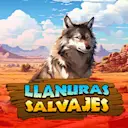 Play Llanuras Salvajes Bingo on Solcasino.es online casino