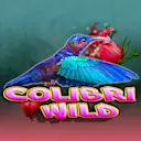 Jouer à Colibri Wild sur le casino en ligne Starcasino.be