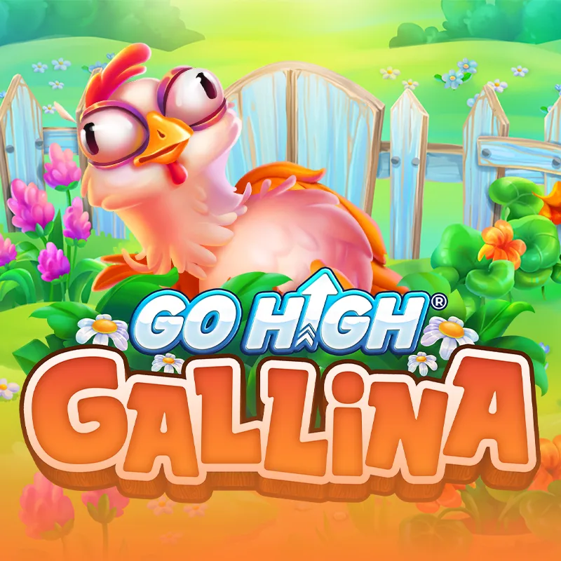 Go High Gallina
