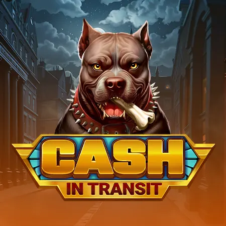Cash in Transit