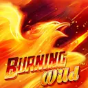 Juega a Burning Wild™ en el casino en línea de Solcasino.es