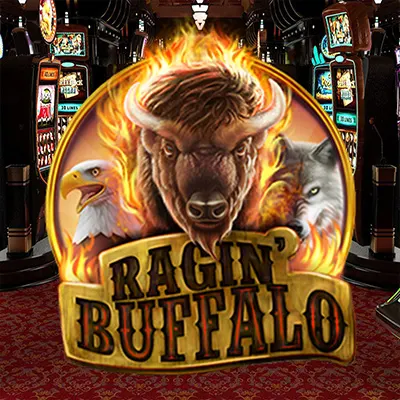 Ragin buffalo