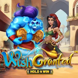 Play Wish Granted™ on Casinoking.be online casino