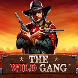 Play The Wild Gang™ on Starcasino.nl online casino