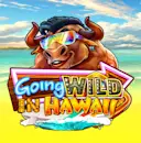 Jouer à Going Wild in Hawaii sur le casino en ligne Starcasino.be