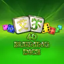在Madisoncasino.be在线赌场上玩40 Burning Dice