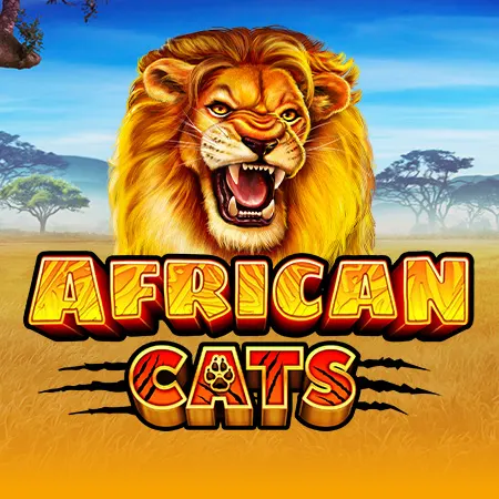 African Cats