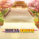 Juega a Ninja Fruits en el casino en línea de Solcasino.es