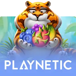 Jouez aux jeux Playnetic sur Starcasino.be