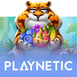 Speel Playnetic games op Starcasino.be