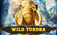 Play Wild Tundra on Starcasino.nl online casino