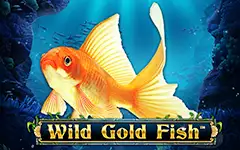 Play Wild Gold Fish™ on Starcasino.be online casino