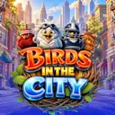 Spielen Sie Birds in The City™ auf Stardice.be-Online-Casino