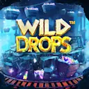 在Madisoncasino.be在线赌场上玩Wild Drops