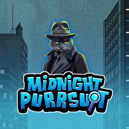Midnight Purrsuit