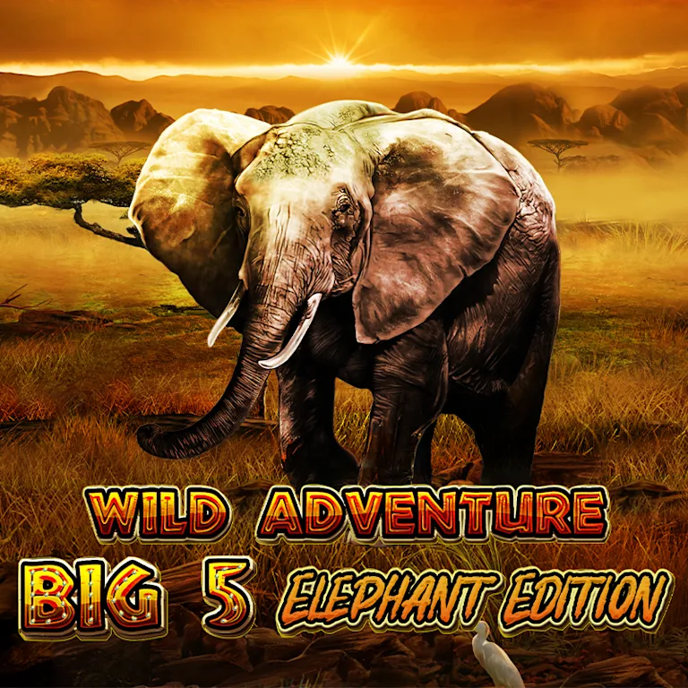 Wild Adventures - Big 5 Elephant Edition