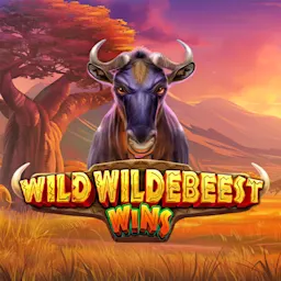 Speel Wild Wildebeest Wins op Starcasino.be online casino