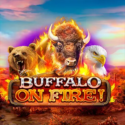 Buffalo on Fire!