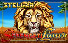 Play Serengeti Lions Stellar Jackpots on Starcasino.be online casino