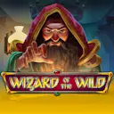 Play Wizard of the Wild on Starcasino.nl online casino
