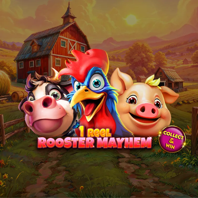 1 Reel - Rooster Mayhem