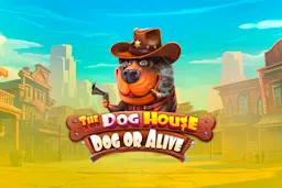 Play The Dog House – Dog or Alive on Starcasino.be online casino