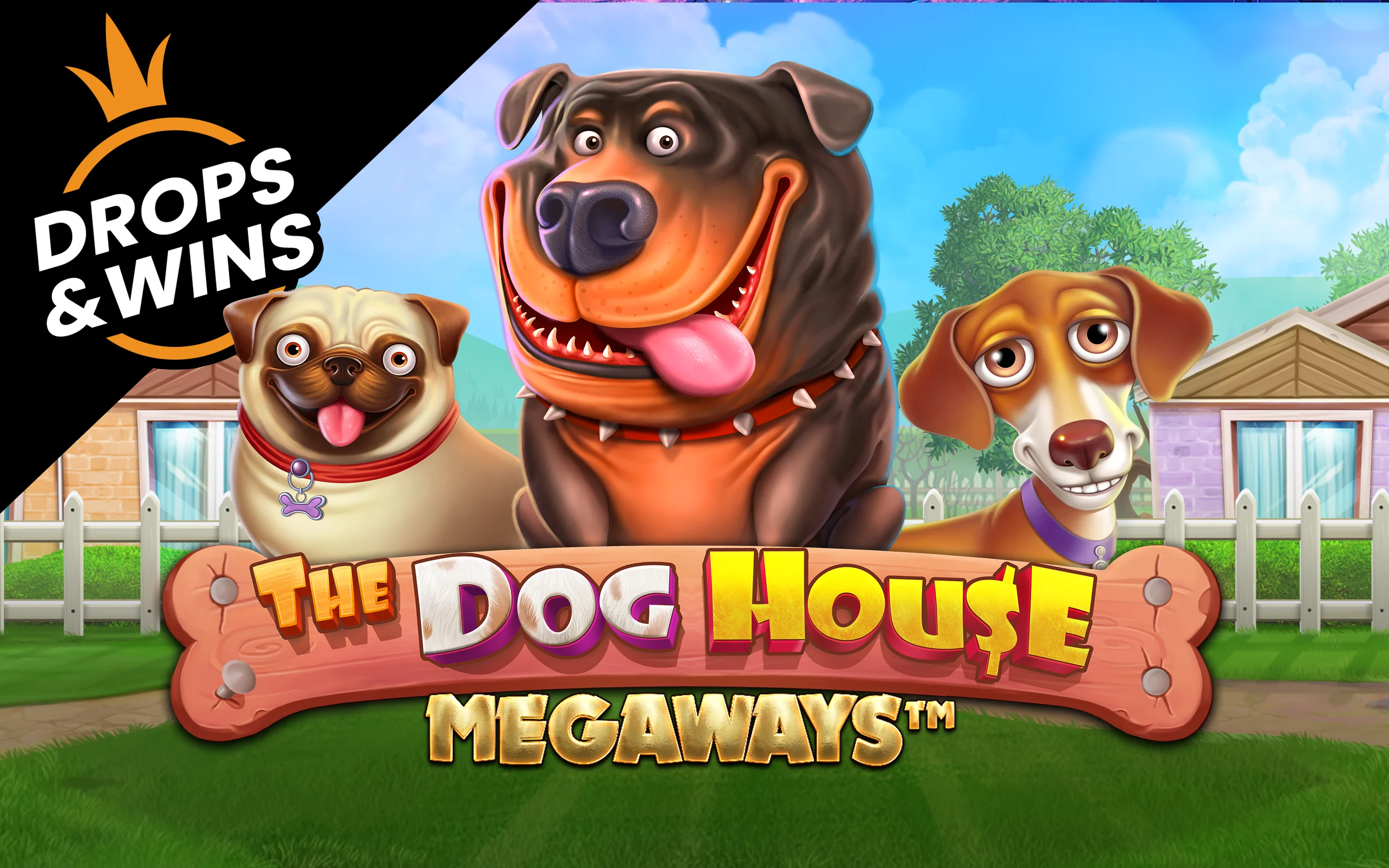 Zagraj w The Dog House Megaways™ w kasynie online Starcasino.be