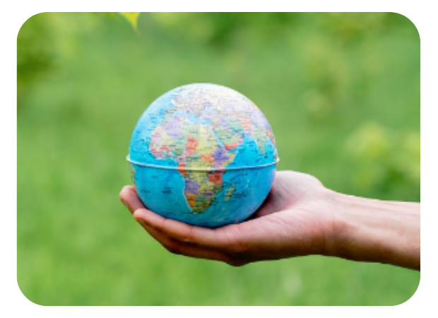 our sustainability initiative