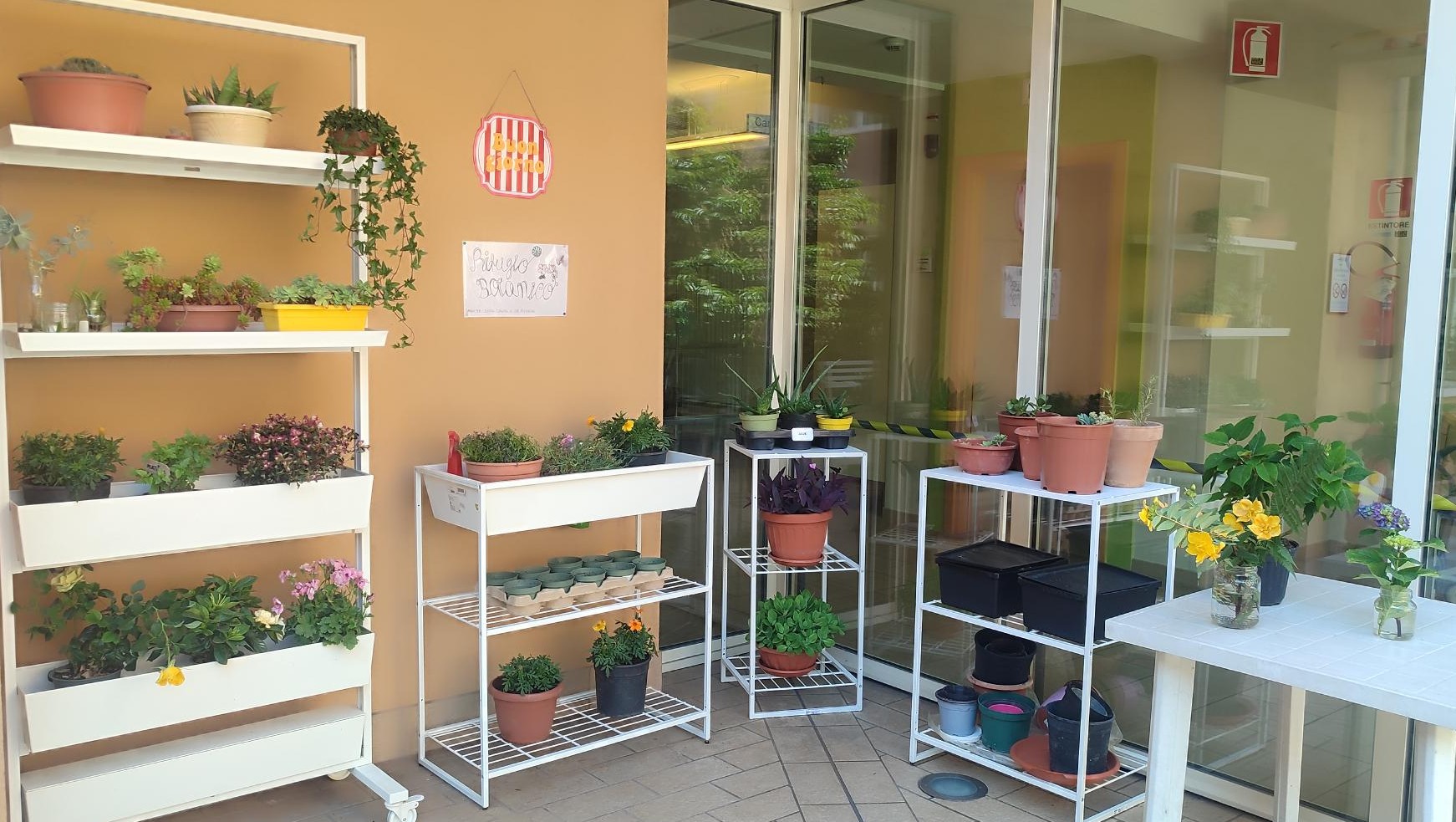 PAINTE DEL GIARDINO SEGRETO DI PESSANO 